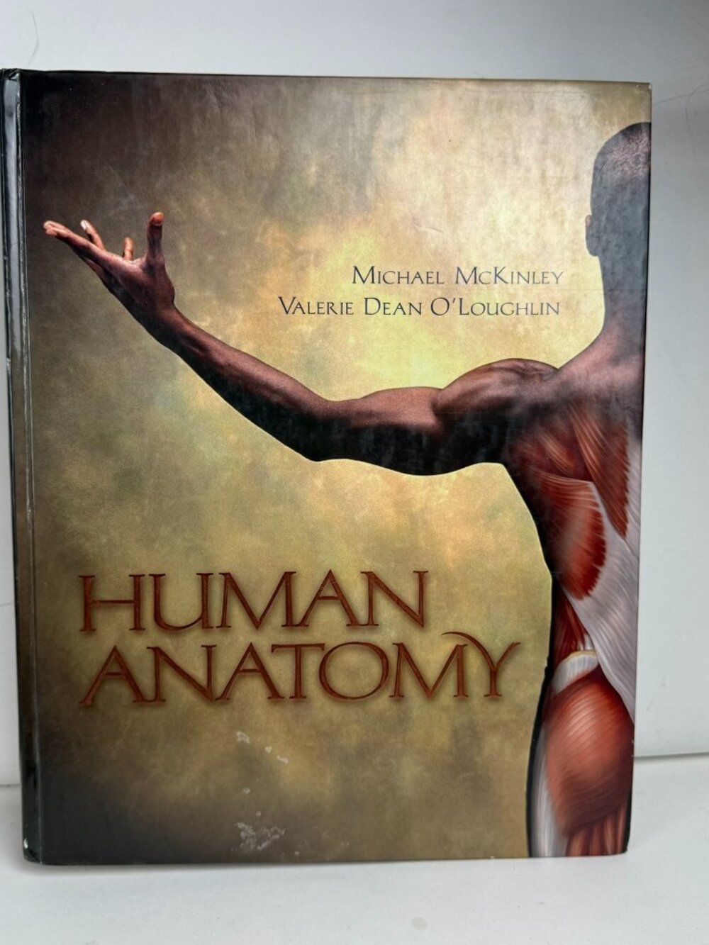 Human Anatomy McKinley & O'Loughlin Hardcover McGraw-Hill Textbook 9780073109411